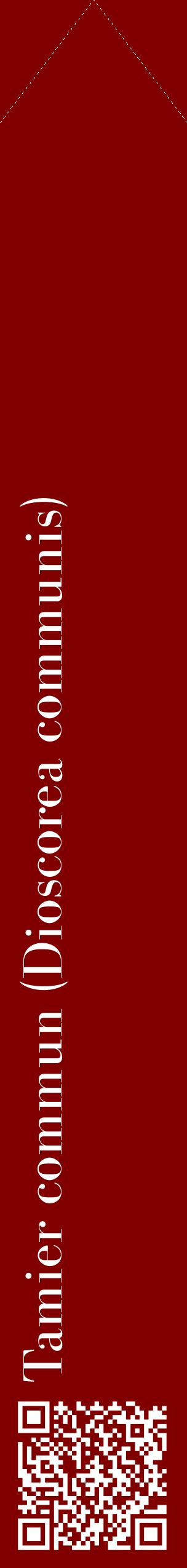 Étiquette de : Dioscorea communis - format c - style blanche29_simplebod avec qrcode et comestibilité
