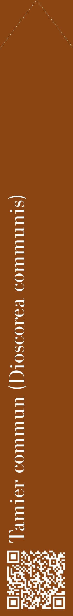 Étiquette de : Dioscorea communis - format c - style blanche30_simplebod avec qrcode et comestibilité