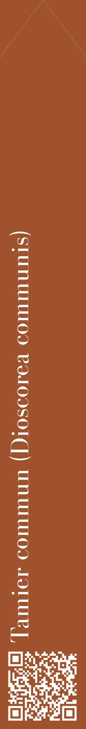 Étiquette de : Dioscorea communis - format c - style blanche32_simplebod avec qrcode et comestibilité