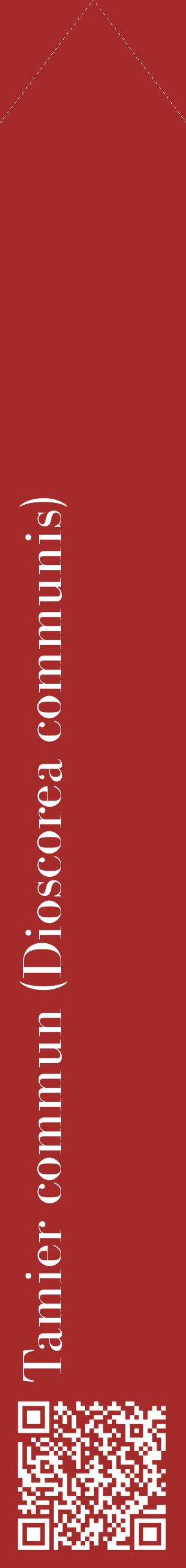 Étiquette de : Dioscorea communis - format c - style blanche33_simplebod avec qrcode et comestibilité