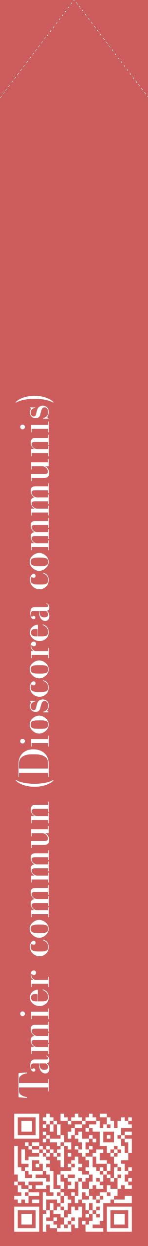 Étiquette de : Dioscorea communis - format c - style blanche35_simplebod avec qrcode et comestibilité