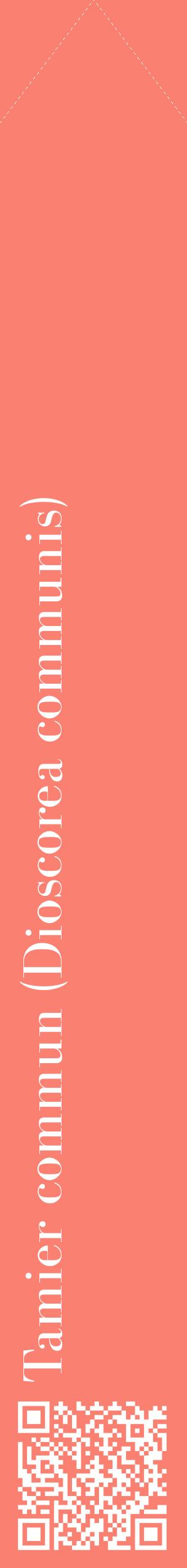 Étiquette de : Dioscorea communis - format c - style blanche38_simplebod avec qrcode et comestibilité