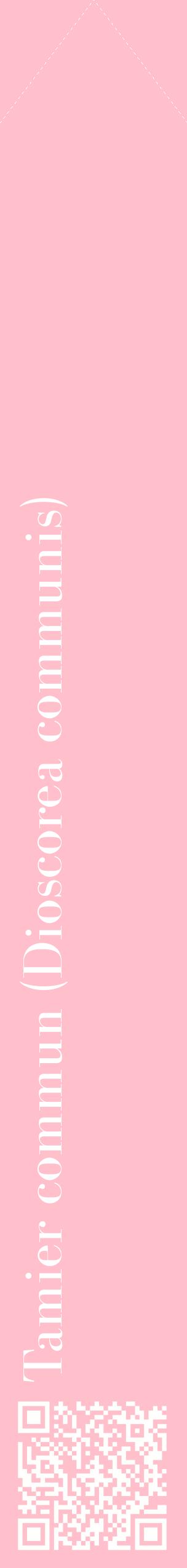 Étiquette de : Dioscorea communis - format c - style blanche40_simplebod avec qrcode et comestibilité