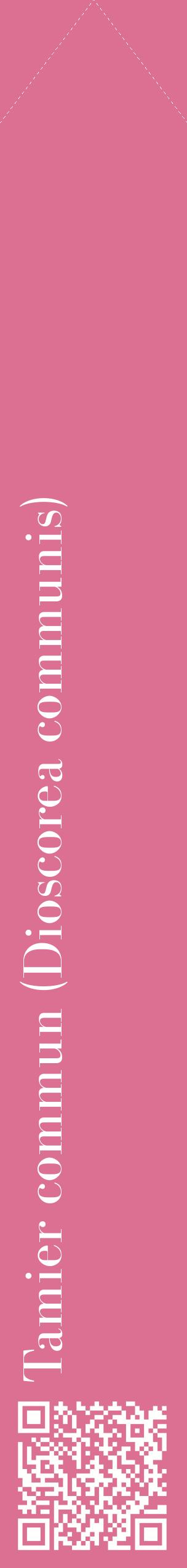 Étiquette de : Dioscorea communis - format c - style blanche44_simplebod avec qrcode et comestibilité