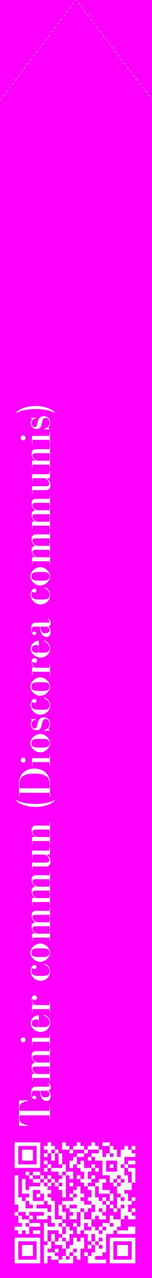 Étiquette de : Dioscorea communis - format c - style blanche51_simplebod avec qrcode et comestibilité