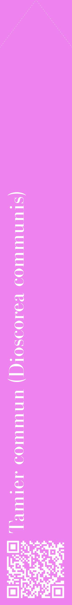 Étiquette de : Dioscorea communis - format c - style blanche53_simplebod avec qrcode et comestibilité