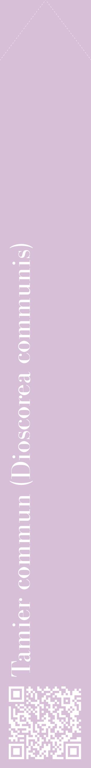 Étiquette de : Dioscorea communis - format c - style blanche54_simplebod avec qrcode et comestibilité
