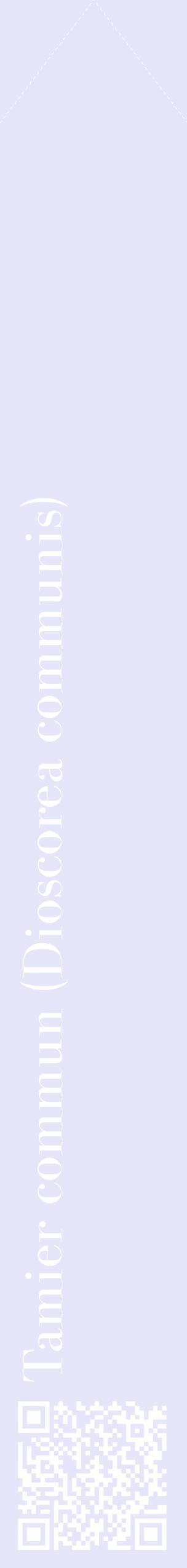Étiquette de : Dioscorea communis - format c - style blanche55_simplebod avec qrcode et comestibilité