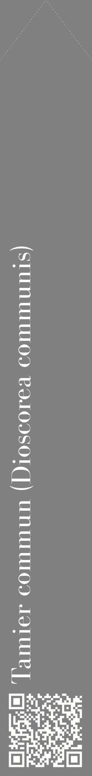 Étiquette de : Dioscorea communis - format c - style blanche57_simplebod avec qrcode et comestibilité