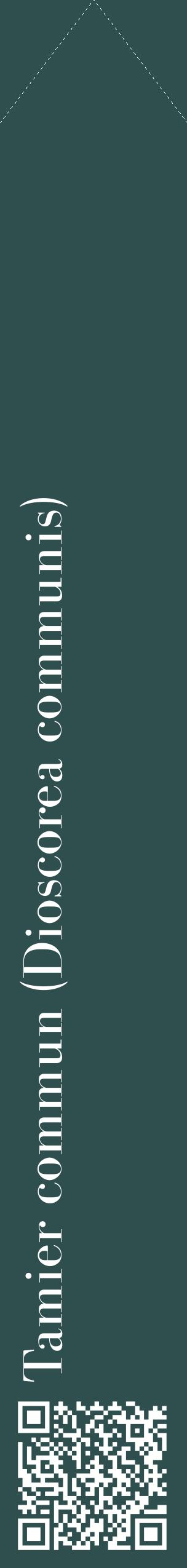 Étiquette de : Dioscorea communis - format c - style blanche58_simplebod avec qrcode et comestibilité