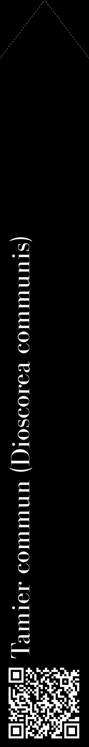 Étiquette de : Dioscorea communis - format c - style blanche59_simplebod avec qrcode et comestibilité