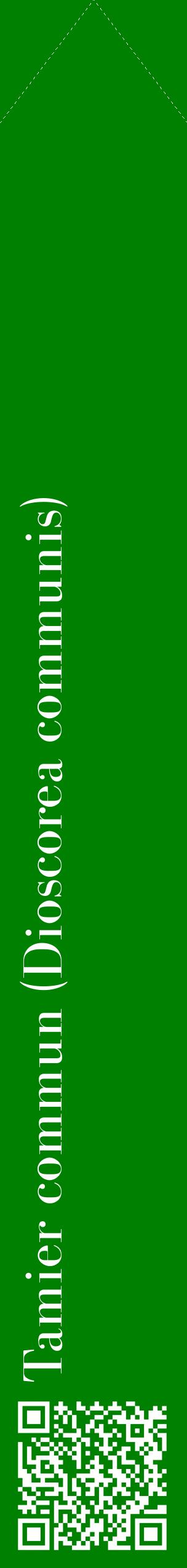 Étiquette de : Dioscorea communis - format c - style blanche9_simplebod avec qrcode et comestibilité