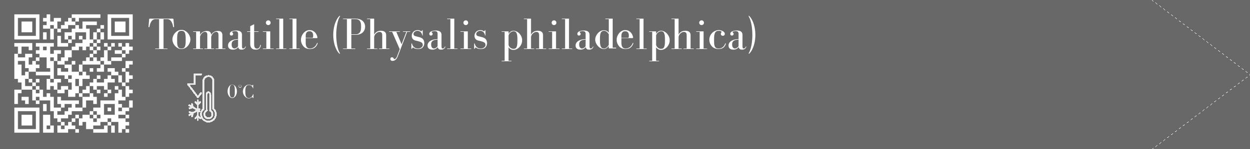 Étiquette de : Physalis philadelphica - format c - style blanche6_simple_simplebod avec qrcode et comestibilité