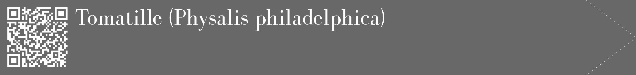 Étiquette de : Physalis philadelphica - format c - style blanche6_simple_simplebod avec qrcode et comestibilité
