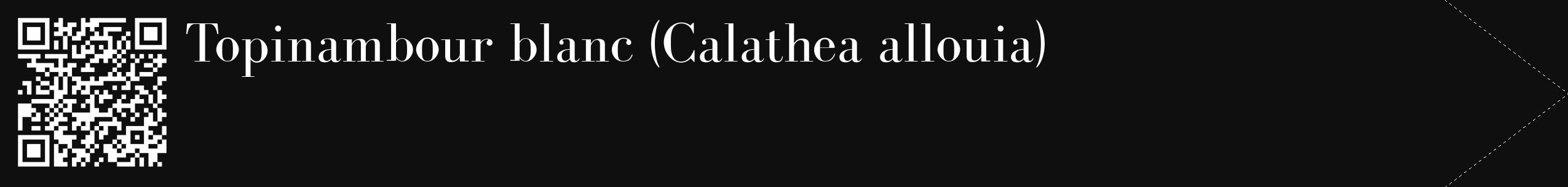 Étiquette de : Calathea allouia - format c - style blanche7_simple_simplebod avec qrcode et comestibilité