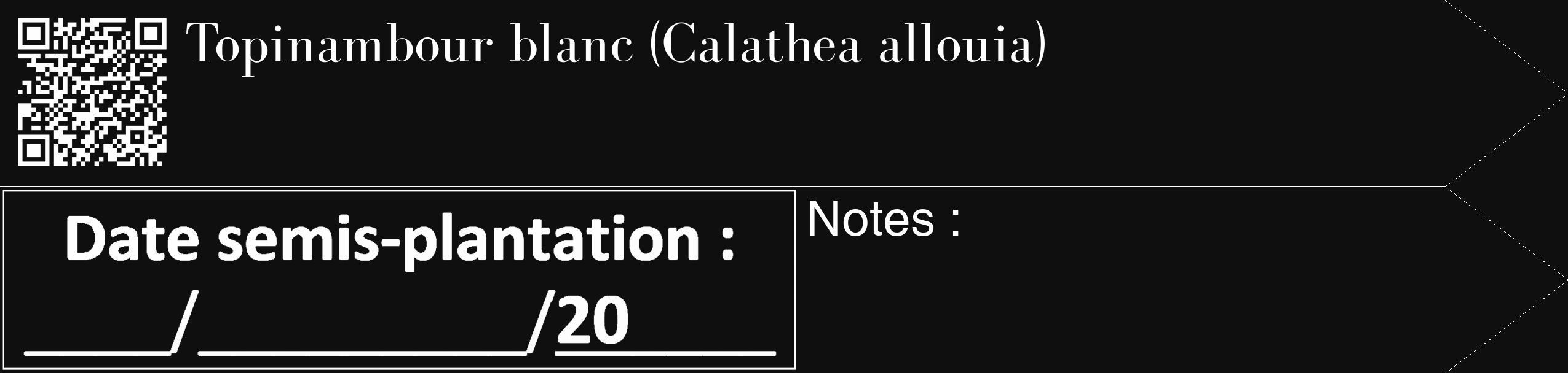Étiquette de : Calathea allouia - format c - style blanche7_simple_simplebod avec qrcode et comestibilité