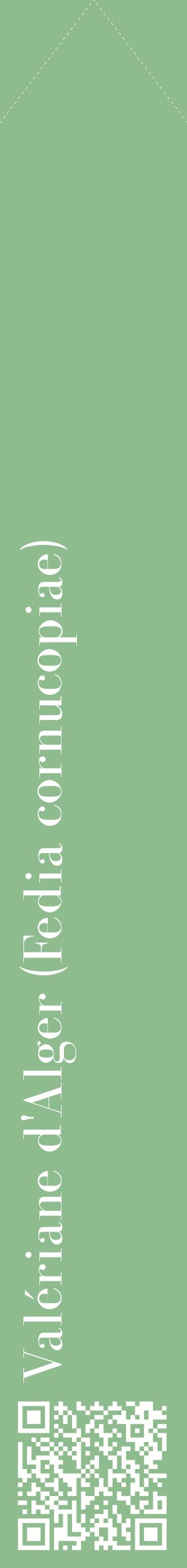 Étiquette de : Fedia cornucopiae - format c - style blanche13_simplebod avec qrcode et comestibilité