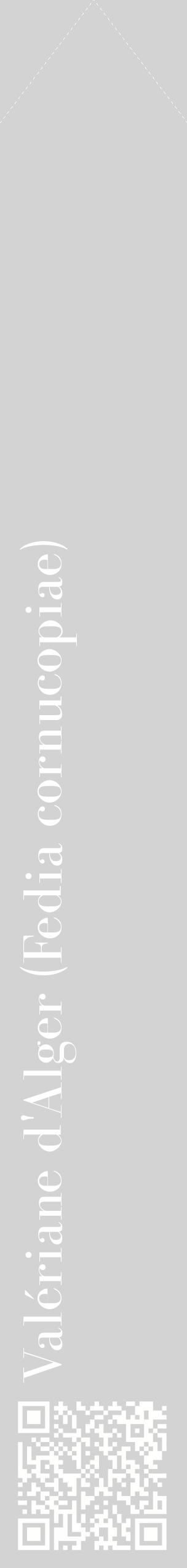 Étiquette de : Fedia cornucopiae - format c - style blanche56_simplebod avec qrcode et comestibilité