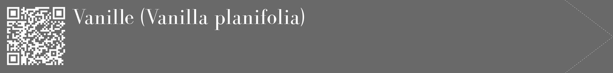 Étiquette de : Vanilla planifolia - format c - style blanche51_simple_simplebod avec qrcode et comestibilité