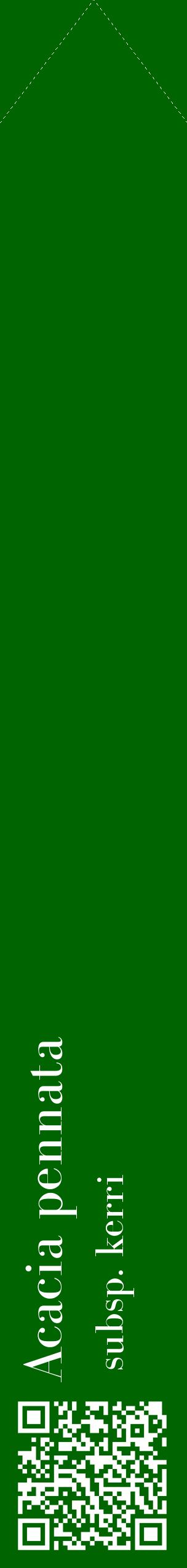 Étiquette de : Acacia pennata subsp. kerri - format c - style blanche8_simplebod avec qrcode et comestibilité