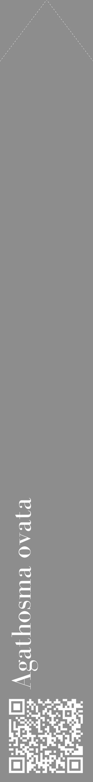 Étiquette de : Agathosma ovata - format c - style blanche2_simple_simplebod avec qrcode et comestibilité - position verticale