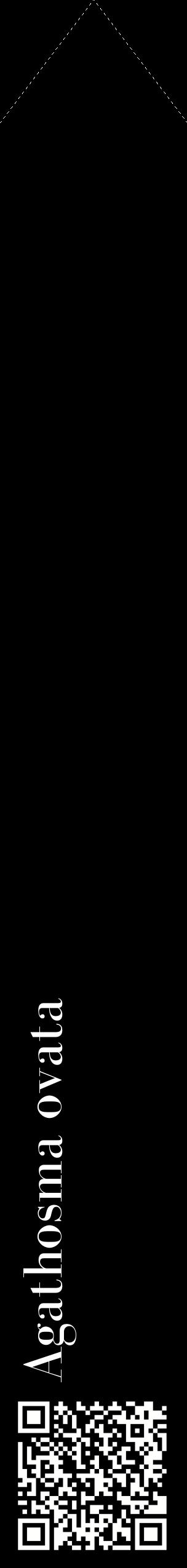 Étiquette de : Agathosma ovata - format c - style blanche59_simplebod avec qrcode et comestibilité