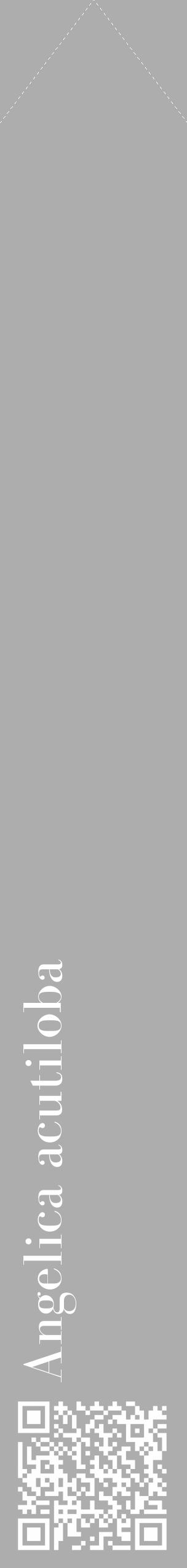 Étiquette de : Angelica acutiloba - format c - style blanche22_simple_simplebod avec qrcode et comestibilité - position verticale
