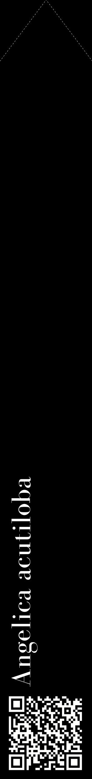 Étiquette de : Angelica acutiloba - format c - style blanche59_simplebod avec qrcode et comestibilité