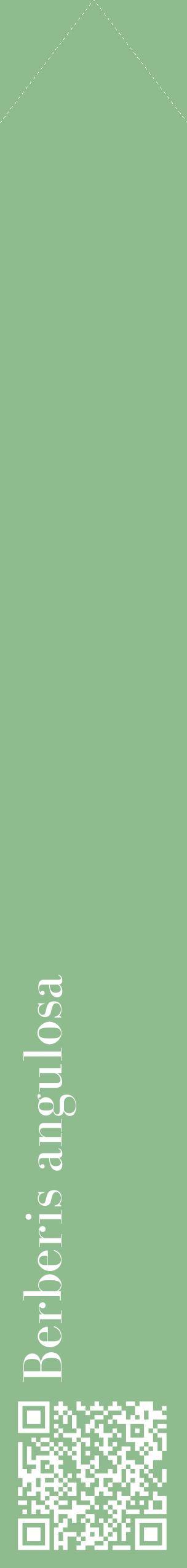 Étiquette de : Berberis angulosa - format c - style blanche13_simplebod avec qrcode et comestibilité