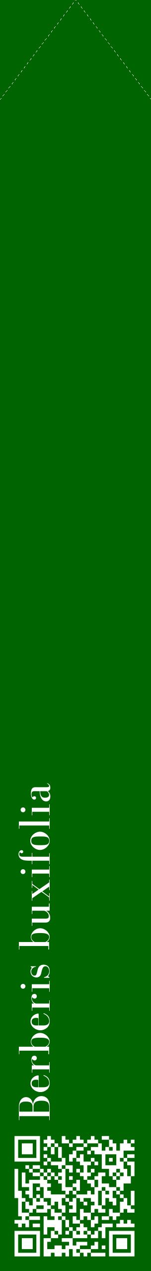 Étiquette de : Berberis buxifolia - format c - style blanche8_simplebod avec qrcode et comestibilité