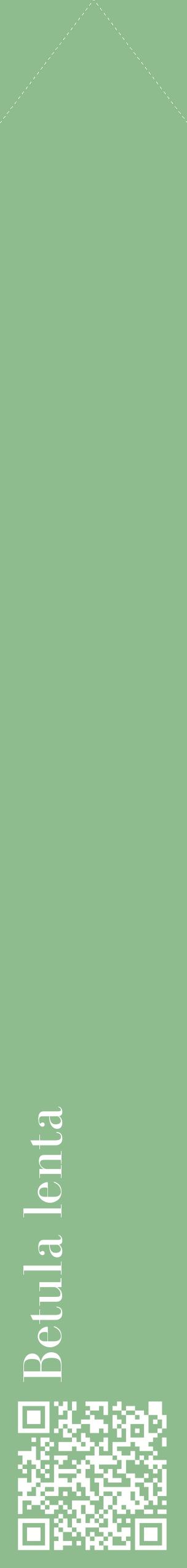 Étiquette de : Betula lenta - format c - style blanche13_simplebod avec qrcode et comestibilité