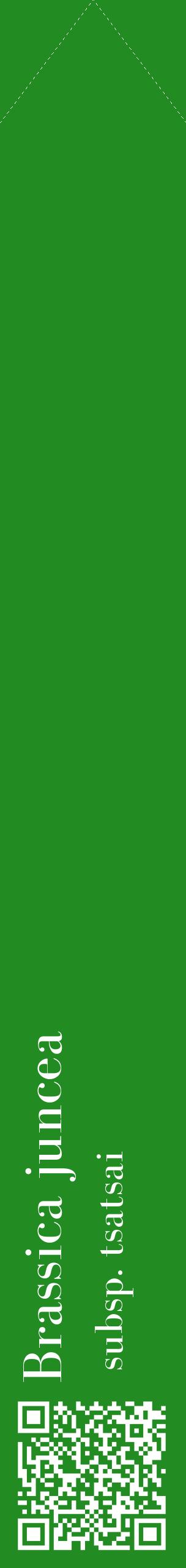 Étiquette de : Brassica juncea subsp. tsatsai - format c - style blanche10_simplebod avec qrcode et comestibilité