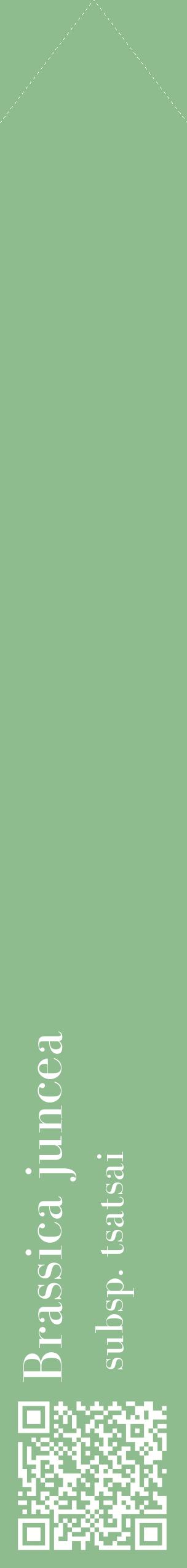 Étiquette de : Brassica juncea subsp. tsatsai - format c - style blanche13_simplebod avec qrcode et comestibilité