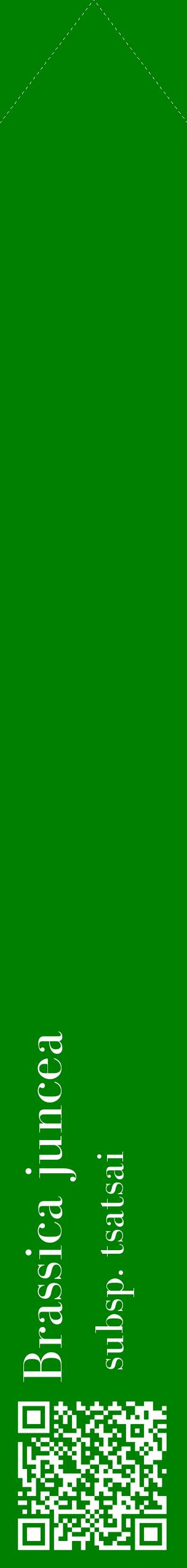 Étiquette de : Brassica juncea subsp. tsatsai - format c - style blanche9_simplebod avec qrcode et comestibilité