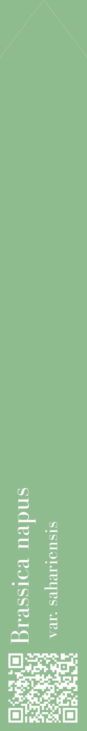 Étiquette de : Brassica napus var. sahariensis - format c - style blanche13_simplebod avec qrcode et comestibilité