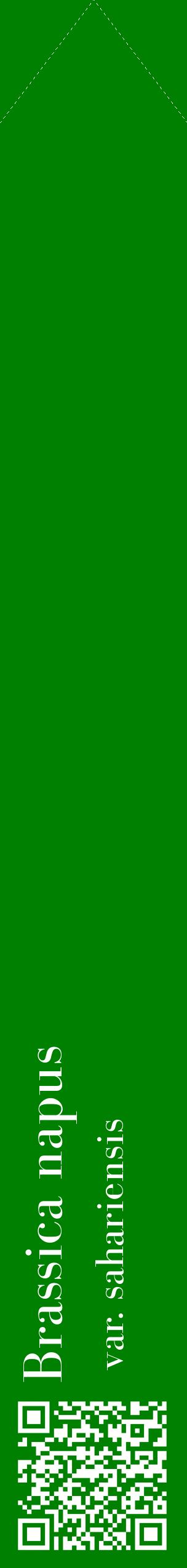 Étiquette de : Brassica napus var. sahariensis - format c - style blanche9_simplebod avec qrcode et comestibilité