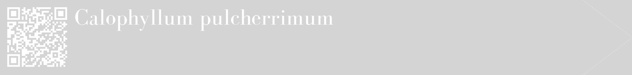 Étiquette de : Calophyllum pulcherrimum - format c - style blanche40_simple_simplebod avec qrcode et comestibilité