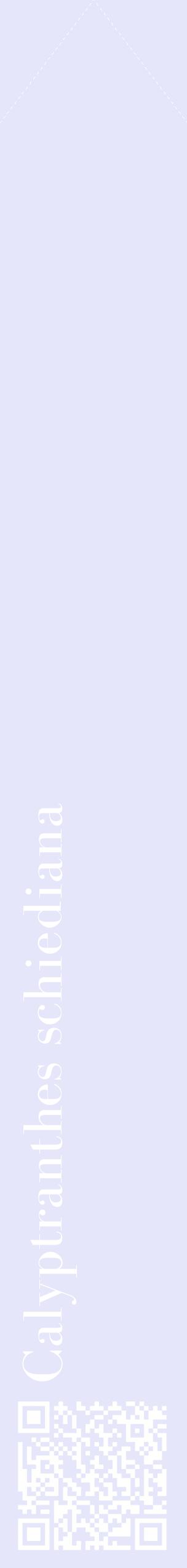 Étiquette de : Calyptranthes schiediana - format c - style blanche55_simplebod avec qrcode et comestibilité