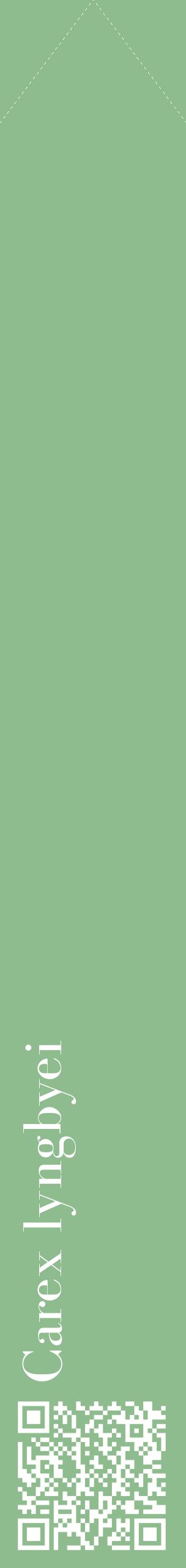 Étiquette de : Carex lyngbyei - format c - style blanche13_simplebod avec qrcode et comestibilité