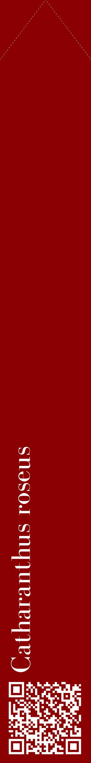 Étiquette de : Catharanthus roseus - format c - style blanche34_simplebod avec qrcode et comestibilité