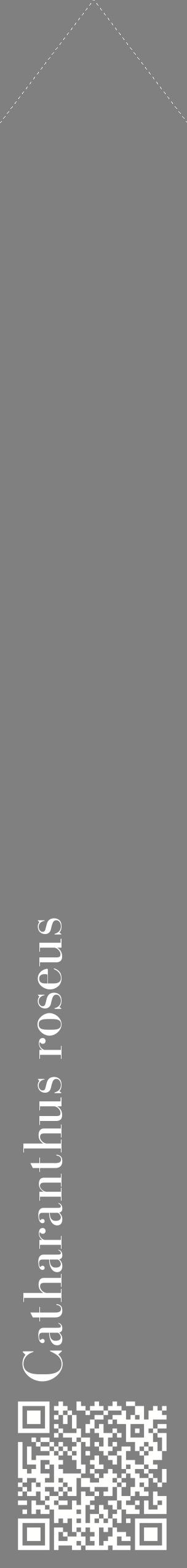 Étiquette de : Catharanthus roseus - format c - style blanche57_simplebod avec qrcode et comestibilité