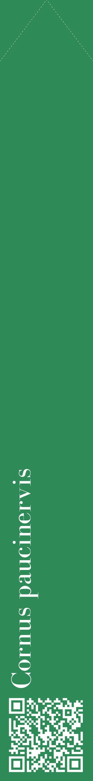 Étiquette de : Cornus paucinervis - format c - style blanche11_simplebod avec qrcode et comestibilité