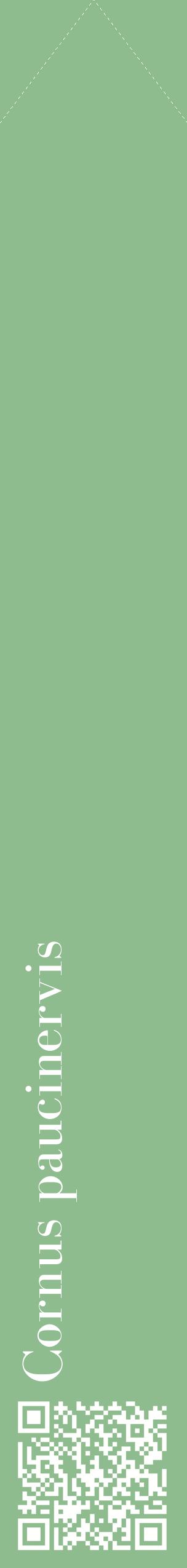 Étiquette de : Cornus paucinervis - format c - style blanche13_simplebod avec qrcode et comestibilité