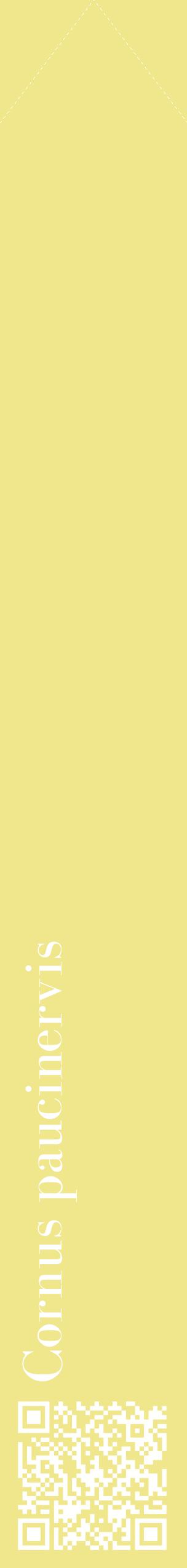 Étiquette de : Cornus paucinervis - format c - style blanche20_simplebod avec qrcode et comestibilité