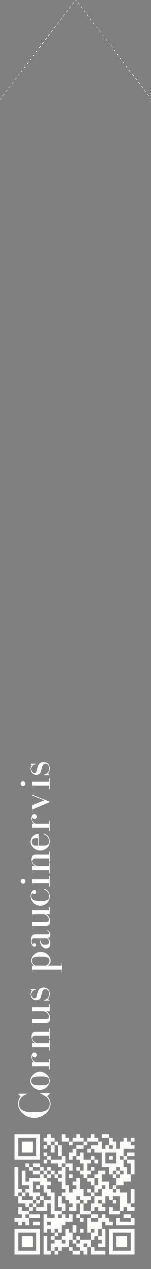 Étiquette de : Cornus paucinervis - format c - style blanche57_simplebod avec qrcode et comestibilité