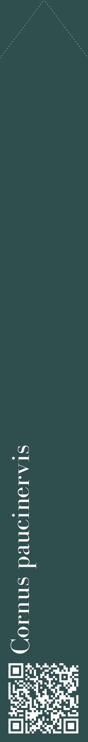 Étiquette de : Cornus paucinervis - format c - style blanche58_simplebod avec qrcode et comestibilité