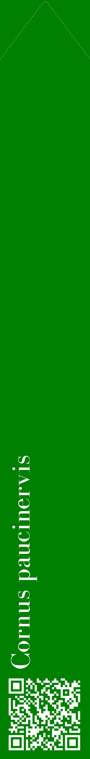 Étiquette de : Cornus paucinervis - format c - style blanche9_simplebod avec qrcode et comestibilité