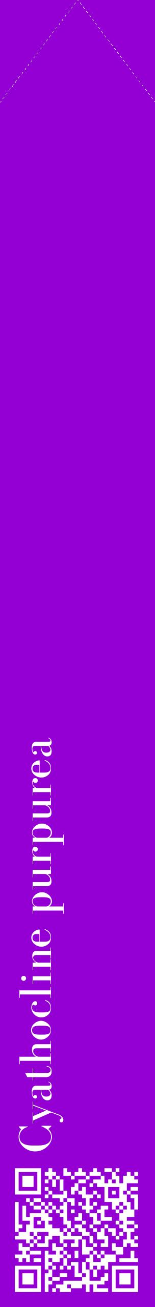 Étiquette de : Cyathocline purpurea - format c - style blanche48_simplebod avec qrcode et comestibilité
