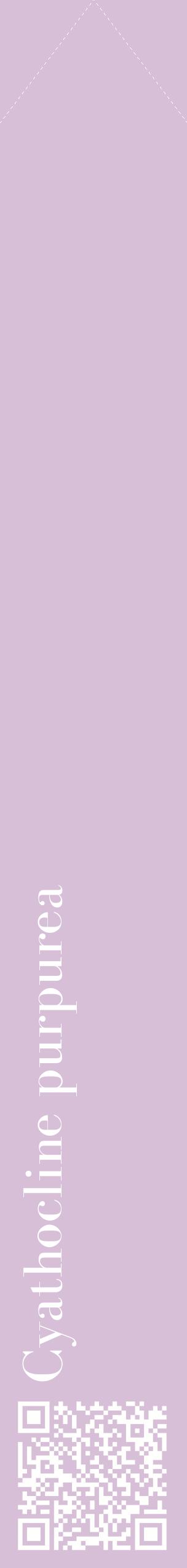 Étiquette de : Cyathocline purpurea - format c - style blanche54_simplebod avec qrcode et comestibilité