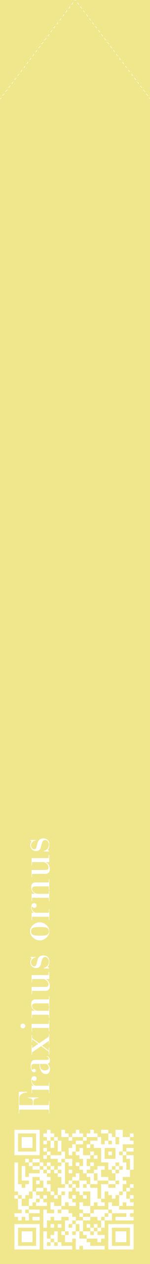 Étiquette de : Fraxinus ornus - format c - style blanche20_simplebod avec qrcode et comestibilité